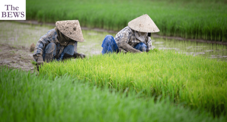 Farming